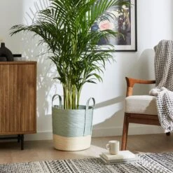 Block Colour Storage Basket 31 Block Colour Storage Basket -Dunelm 30890649